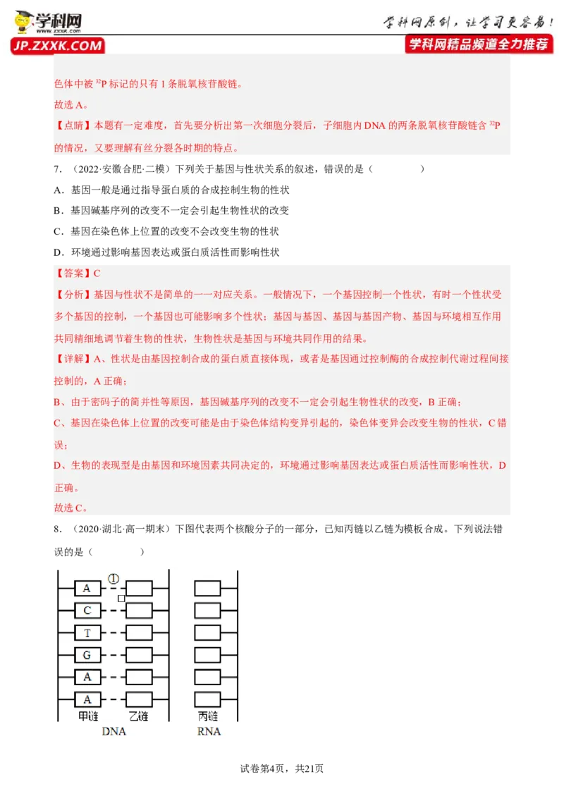 解密08遗传的分子学基础（分层训练)（解析版）_新高考复习资料_2023年新高考复习资料_二轮复习_高频考点解密2023年高考生物二轮复习讲义+分层训练（全国通用）288808838