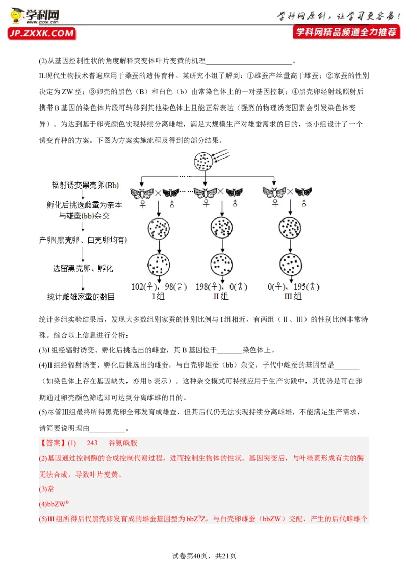 解密08遗传的分子学基础（分层训练)（解析版）_新高考复习资料_2023年新高考复习资料_二轮复习_高频考点解密2023年高考生物二轮复习讲义+分层训练（全国通用）288808838