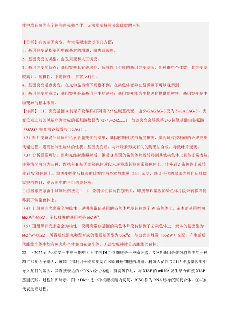 解密08遗传的分子学基础（分层训练)（解析版）_新高考复习资料_2023年新高考复习资料_二轮复习_高频考点解密2023年高考生物二轮复习讲义+分层训练（全国通用）288808838
