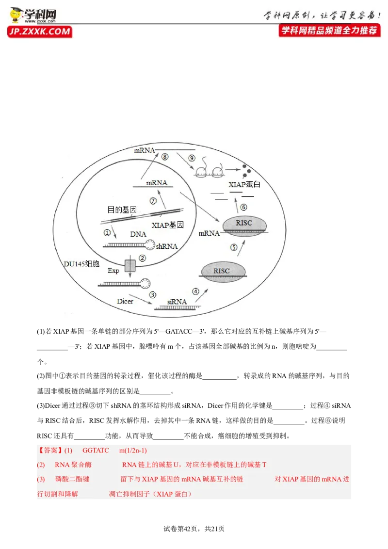 解密08遗传的分子学基础（分层训练)（解析版）_新高考复习资料_2023年新高考复习资料_二轮复习_高频考点解密2023年高考生物二轮复习讲义+分层训练（全国通用）288808838