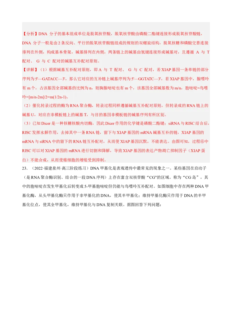 解密08遗传的分子学基础（分层训练)（解析版）_新高考复习资料_2023年新高考复习资料_二轮复习_高频考点解密2023年高考生物二轮复习讲义+分层训练（全国通用）288808838