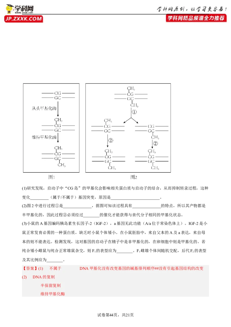 解密08遗传的分子学基础（分层训练)（解析版）_新高考复习资料_2023年新高考复习资料_二轮复习_高频考点解密2023年高考生物二轮复习讲义+分层训练（全国通用）288808838