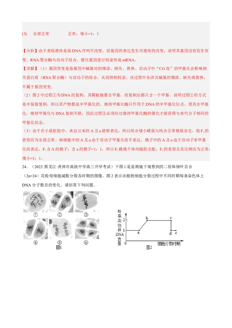 解密08遗传的分子学基础（分层训练)（解析版）_新高考复习资料_2023年新高考复习资料_二轮复习_高频考点解密2023年高考生物二轮复习讲义+分层训练（全国通用）288808838