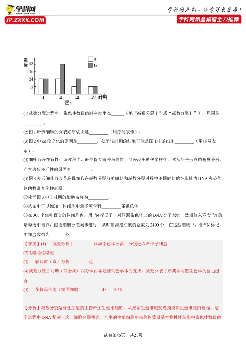 解密08遗传的分子学基础（分层训练)（解析版）_新高考复习资料_2023年新高考复习资料_二轮复习_高频考点解密2023年高考生物二轮复习讲义+分层训练（全国通用）288808838