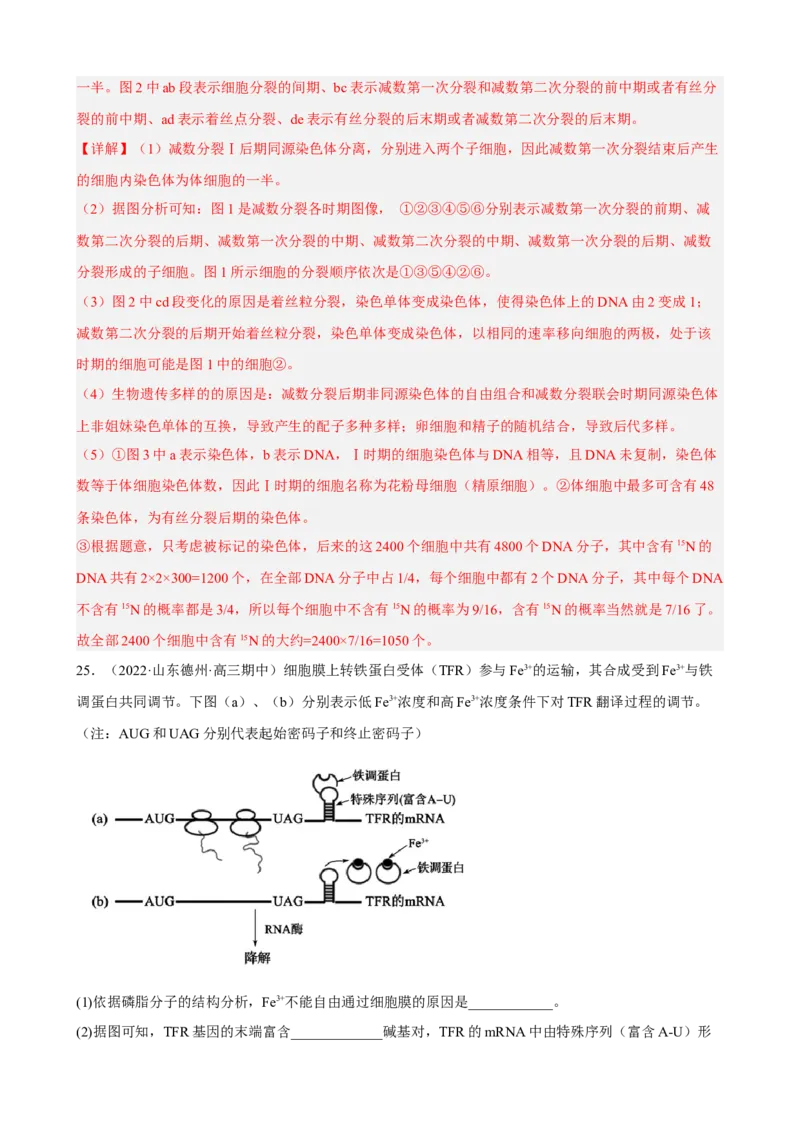 解密08遗传的分子学基础（分层训练)（解析版）_新高考复习资料_2023年新高考复习资料_二轮复习_高频考点解密2023年高考生物二轮复习讲义+分层训练（全国通用）288808838