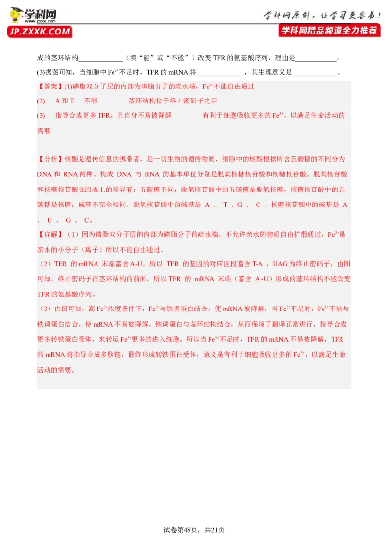 解密08遗传的分子学基础（分层训练)（解析版）_新高考复习资料_2023年新高考复习资料_二轮复习_高频考点解密2023年高考生物二轮复习讲义+分层训练（全国通用）288808838