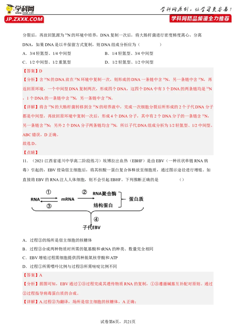 解密08遗传的分子学基础（分层训练)（解析版）_新高考复习资料_2023年新高考复习资料_二轮复习_高频考点解密2023年高考生物二轮复习讲义+分层训练（全国通用）288808838