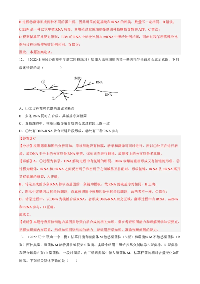 解密08遗传的分子学基础（分层训练)（解析版）_新高考复习资料_2023年新高考复习资料_二轮复习_高频考点解密2023年高考生物二轮复习讲义+分层训练（全国通用）288808838