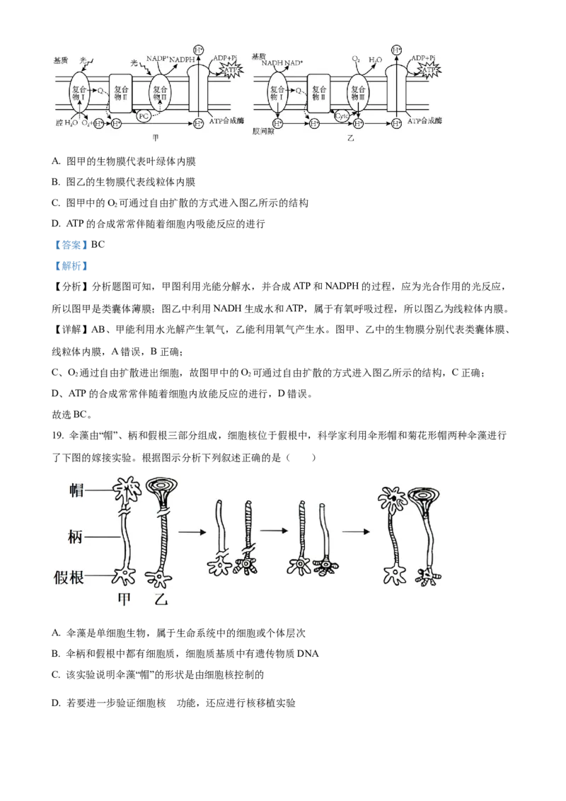 黑龙江省黑河市龙西北高中名校联盟2024-2025学年高一下学期开学考试生物试题Word版含解析_2025年04月试卷_0412黑龙江省黑河市龙西北高中名校联盟2024-2025学年高一下学期开学联考