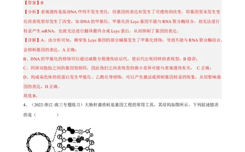 解密08遗传的分子学基础（分层训练)（解析版）_通用版（老高考）复习资料_2023年复习资料_二轮复习_高频考点解密2023年高考生物二轮复习讲义+分层训练（全国通用）