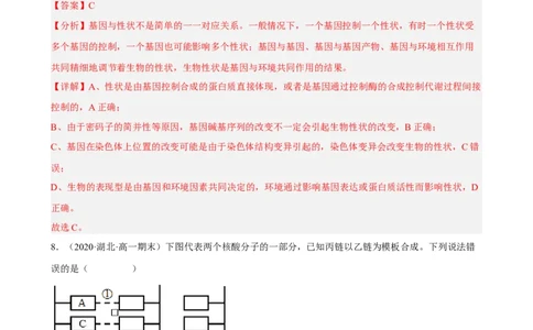解密08遗传的分子学基础（分层训练)（解析版）_通用版（老高考）复习资料_2023年复习资料_二轮复习_高频考点解密2023年高考生物二轮复习讲义+分层训练（全国通用）