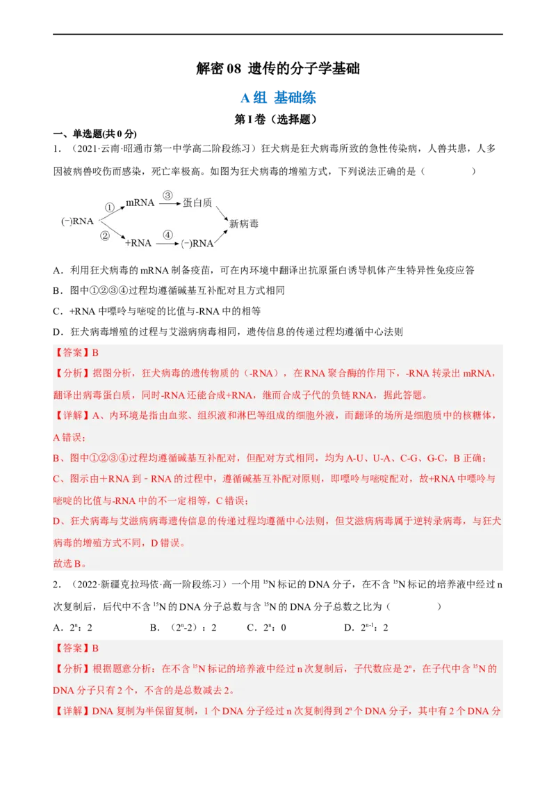 解密08遗传的分子学基础（分层训练)（解析版）_通用版（老高考）复习资料_2023年复习资料_二轮复习_高频考点解密2023年高考生物二轮复习讲义+分层训练（全国通用）