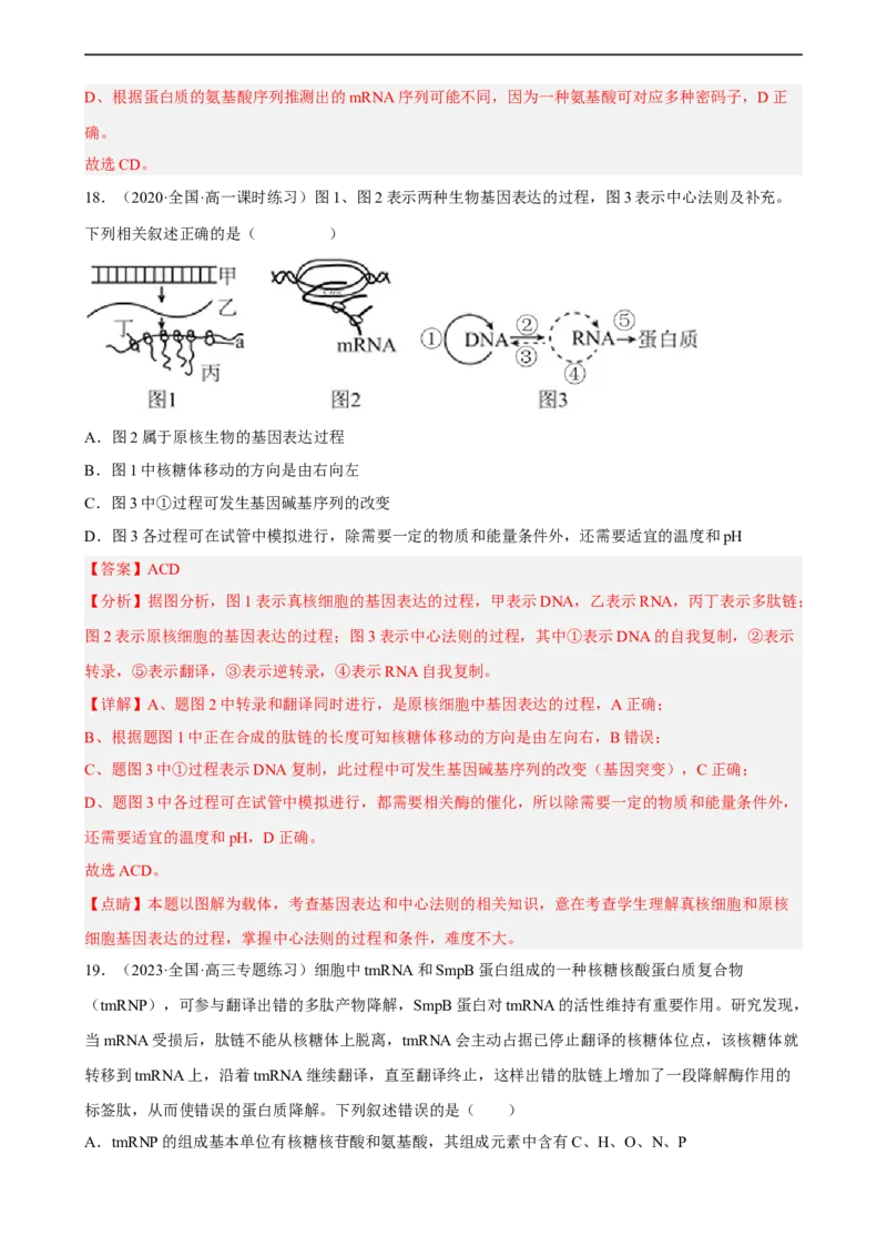 解密08遗传的分子学基础（分层训练)（解析版）_通用版（老高考）复习资料_2023年复习资料_二轮复习_高频考点解密2023年高考生物二轮复习讲义+分层训练（全国通用）