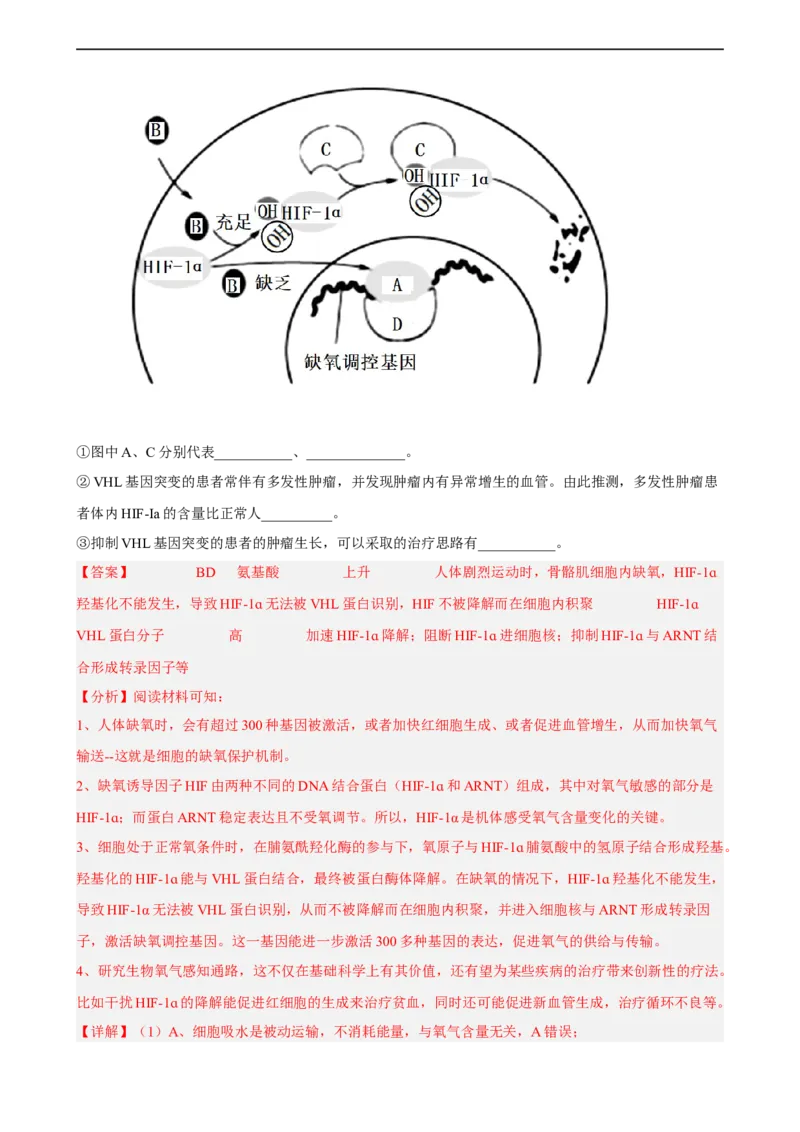 解密08遗传的分子学基础（分层训练)（解析版）_通用版（老高考）复习资料_2023年复习资料_二轮复习_高频考点解密2023年高考生物二轮复习讲义+分层训练（全国通用）
