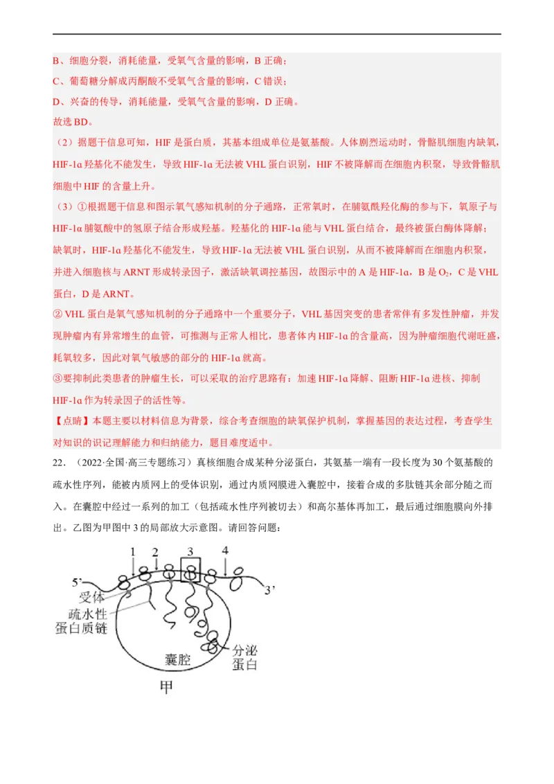 解密08遗传的分子学基础（分层训练)（解析版）_通用版（老高考）复习资料_2023年复习资料_二轮复习_高频考点解密2023年高考生物二轮复习讲义+分层训练（全国通用）