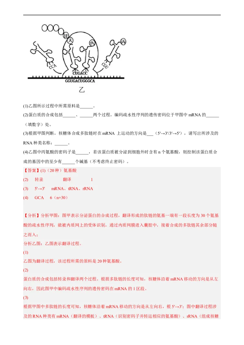 解密08遗传的分子学基础（分层训练)（解析版）_通用版（老高考）复习资料_2023年复习资料_二轮复习_高频考点解密2023年高考生物二轮复习讲义+分层训练（全国通用）