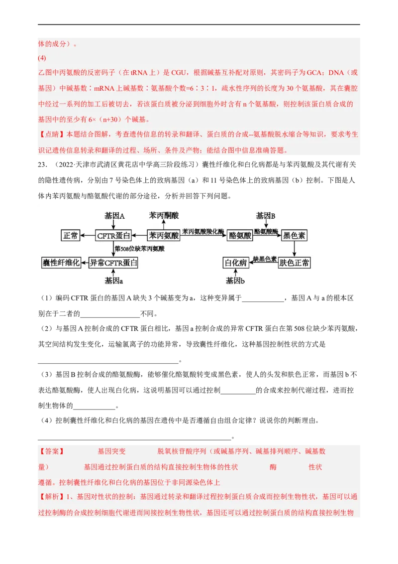 解密08遗传的分子学基础（分层训练)（解析版）_通用版（老高考）复习资料_2023年复习资料_二轮复习_高频考点解密2023年高考生物二轮复习讲义+分层训练（全国通用）