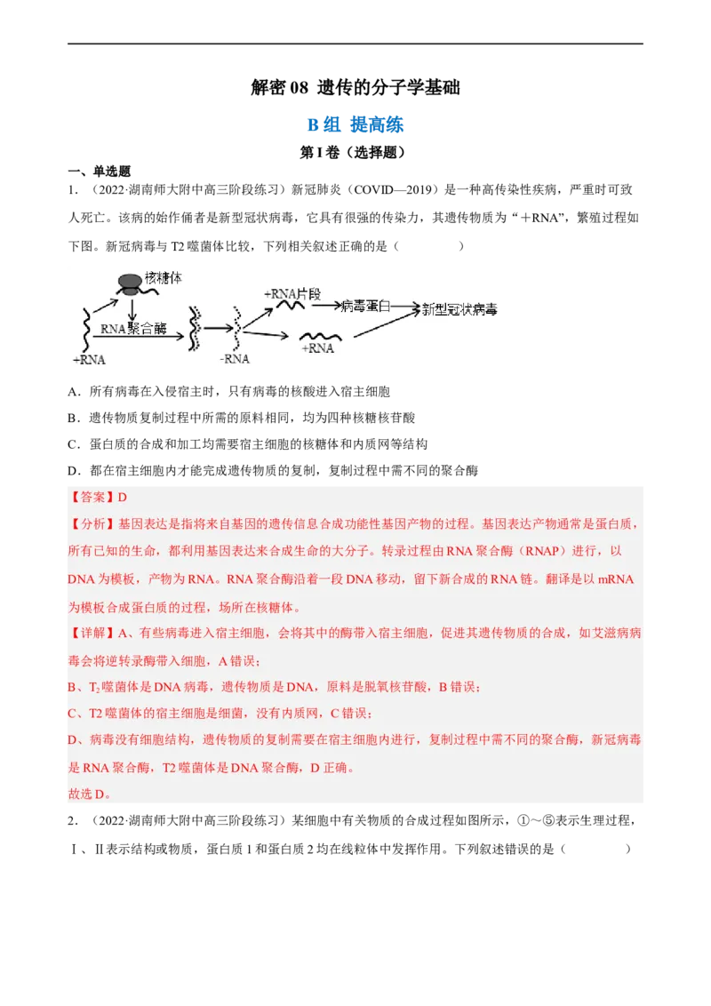 解密08遗传的分子学基础（分层训练)（解析版）_通用版（老高考）复习资料_2023年复习资料_二轮复习_高频考点解密2023年高考生物二轮复习讲义+分层训练（全国通用）