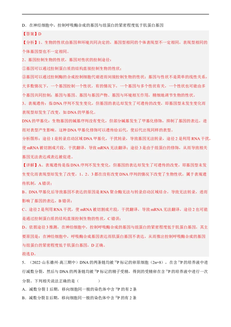 解密08遗传的分子学基础（分层训练)（解析版）_通用版（老高考）复习资料_2023年复习资料_二轮复习_高频考点解密2023年高考生物二轮复习讲义+分层训练（全国通用）