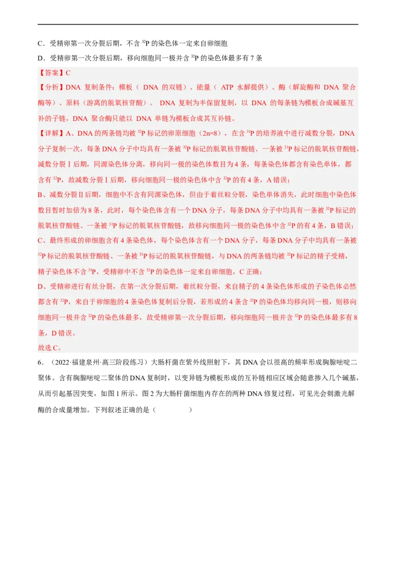 解密08遗传的分子学基础（分层训练)（解析版）_通用版（老高考）复习资料_2023年复习资料_二轮复习_高频考点解密2023年高考生物二轮复习讲义+分层训练（全国通用）