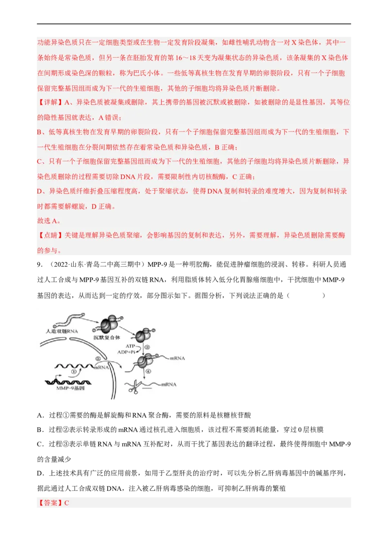 解密08遗传的分子学基础（分层训练)（解析版）_通用版（老高考）复习资料_2023年复习资料_二轮复习_高频考点解密2023年高考生物二轮复习讲义+分层训练（全国通用）