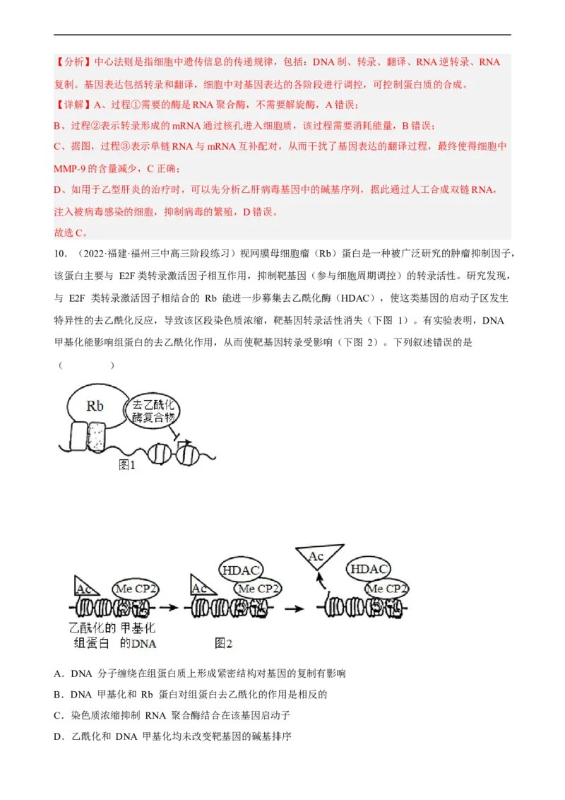 解密08遗传的分子学基础（分层训练)（解析版）_通用版（老高考）复习资料_2023年复习资料_二轮复习_高频考点解密2023年高考生物二轮复习讲义+分层训练（全国通用）