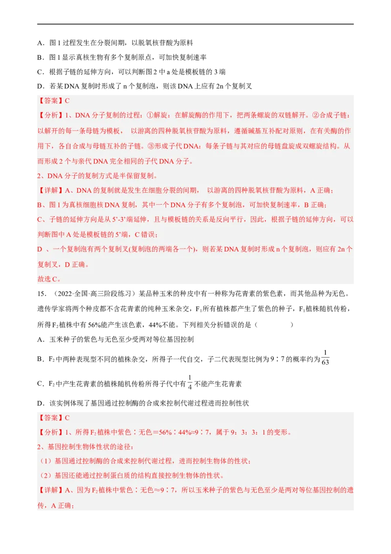 解密08遗传的分子学基础（分层训练)（解析版）_通用版（老高考）复习资料_2023年复习资料_二轮复习_高频考点解密2023年高考生物二轮复习讲义+分层训练（全国通用）