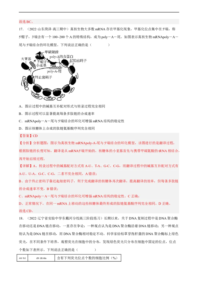 解密08遗传的分子学基础（分层训练)（解析版）_通用版（老高考）复习资料_2023年复习资料_二轮复习_高频考点解密2023年高考生物二轮复习讲义+分层训练（全国通用）