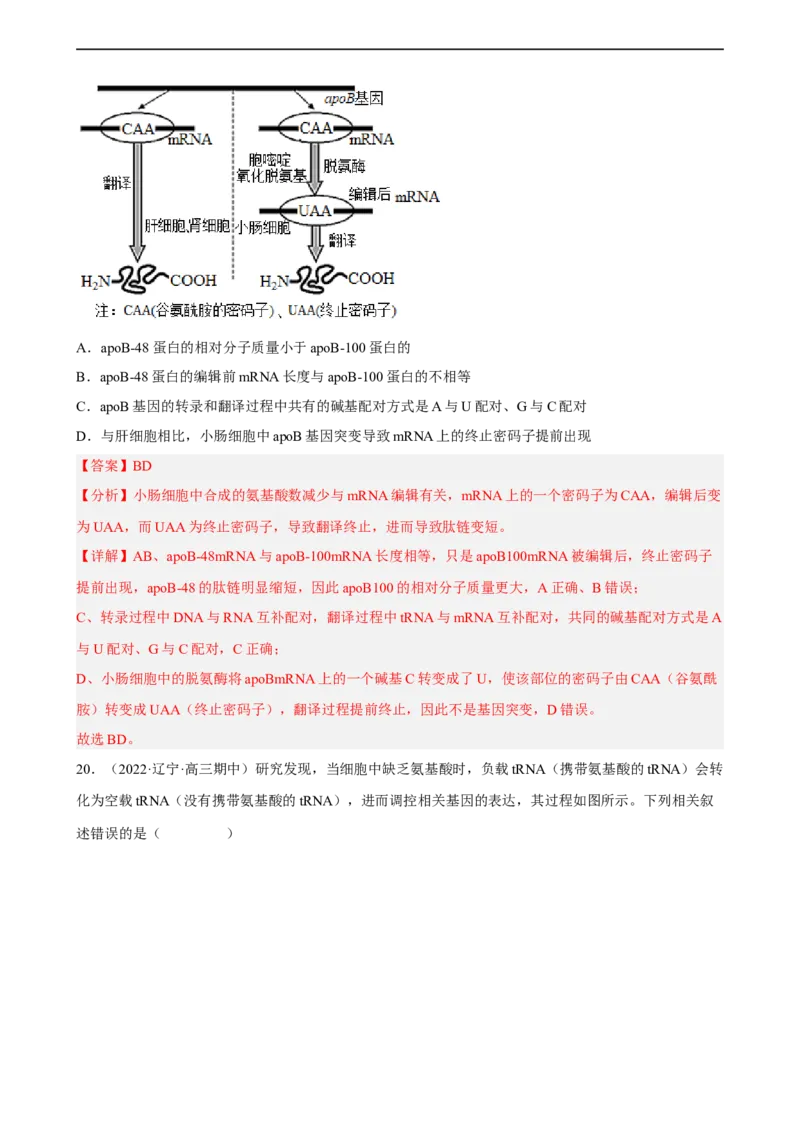 解密08遗传的分子学基础（分层训练)（解析版）_通用版（老高考）复习资料_2023年复习资料_二轮复习_高频考点解密2023年高考生物二轮复习讲义+分层训练（全国通用）