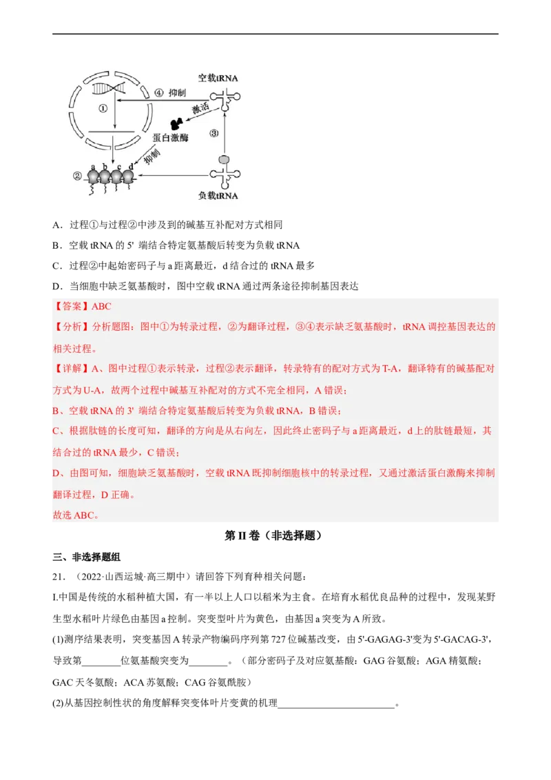 解密08遗传的分子学基础（分层训练)（解析版）_通用版（老高考）复习资料_2023年复习资料_二轮复习_高频考点解密2023年高考生物二轮复习讲义+分层训练（全国通用）