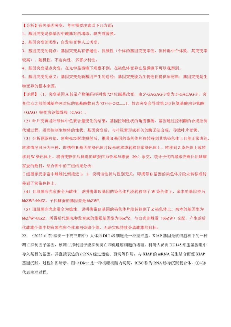 解密08遗传的分子学基础（分层训练)（解析版）_通用版（老高考）复习资料_2023年复习资料_二轮复习_高频考点解密2023年高考生物二轮复习讲义+分层训练（全国通用）