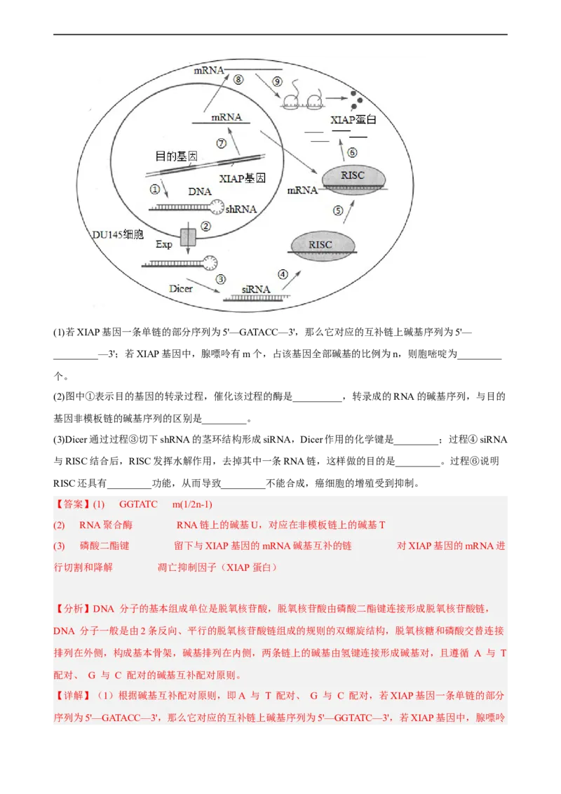 解密08遗传的分子学基础（分层训练)（解析版）_通用版（老高考）复习资料_2023年复习资料_二轮复习_高频考点解密2023年高考生物二轮复习讲义+分层训练（全国通用）
