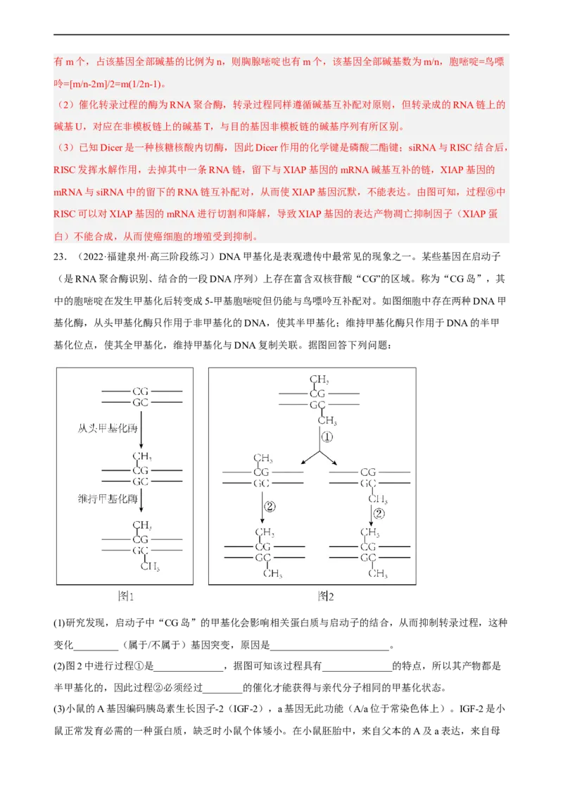 解密08遗传的分子学基础（分层训练)（解析版）_通用版（老高考）复习资料_2023年复习资料_二轮复习_高频考点解密2023年高考生物二轮复习讲义+分层训练（全国通用）