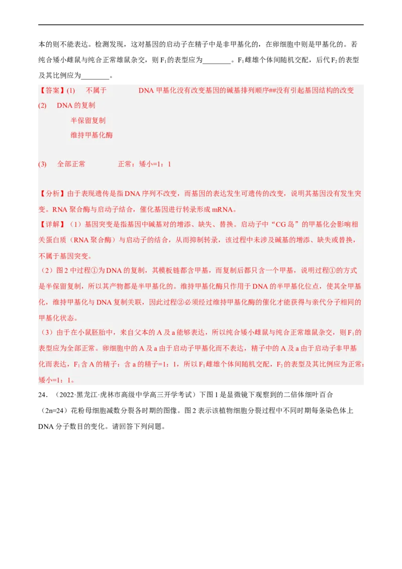 解密08遗传的分子学基础（分层训练)（解析版）_通用版（老高考）复习资料_2023年复习资料_二轮复习_高频考点解密2023年高考生物二轮复习讲义+分层训练（全国通用）