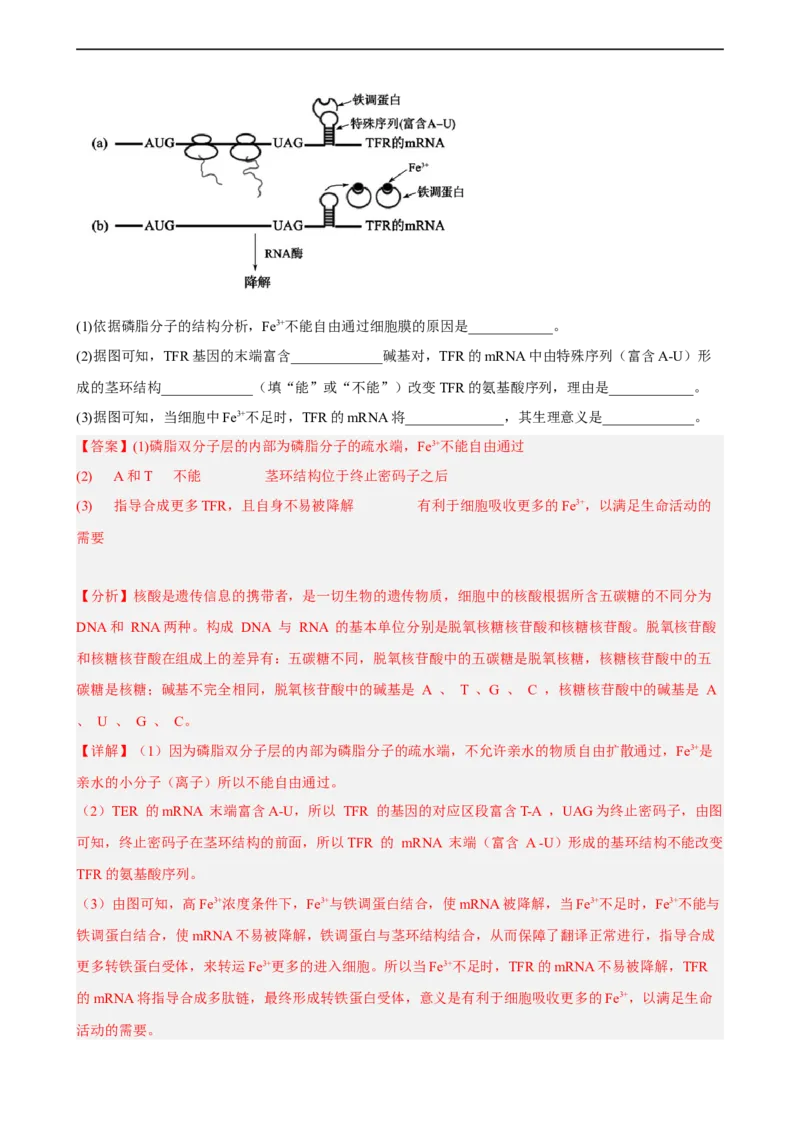 解密08遗传的分子学基础（分层训练)（解析版）_通用版（老高考）复习资料_2023年复习资料_二轮复习_高频考点解密2023年高考生物二轮复习讲义+分层训练（全国通用）