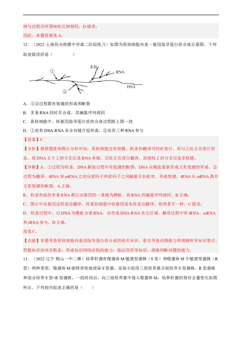 解密08遗传的分子学基础（分层训练)（解析版）_通用版（老高考）复习资料_2023年复习资料_二轮复习_高频考点解密2023年高考生物二轮复习讲义+分层训练（全国通用）