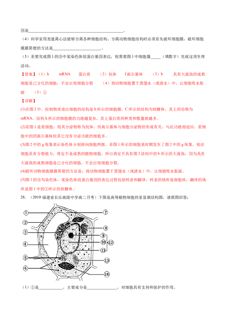 解密02细胞器与生物膜系统（分层训练）（解析版）_新高考复习资料_2021年新高考资料_高频考点解密2021年高考生物二轮复习讲义+分层训练4.7更新