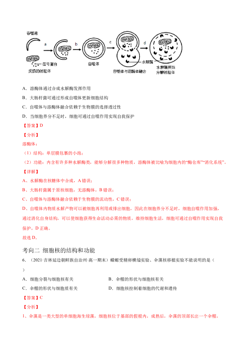 解密02细胞器与生物膜系统（分层训练）（解析版）_新高考复习资料_2021年新高考资料_高频考点解密2021年高考生物二轮复习讲义+分层训练4.7更新