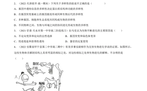 解密10生物的进化（分层训练)（原卷版）_新高考复习资料_2023年新高考复习资料_二轮复习_高频考点解密2023年高考生物二轮复习讲义+分层训练（全国通用）288808838