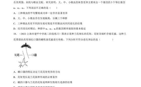解密10生物的进化（分层训练)（原卷版）_新高考复习资料_2023年新高考复习资料_二轮复习_高频考点解密2023年高考生物二轮复习讲义+分层训练（全国通用）288808838