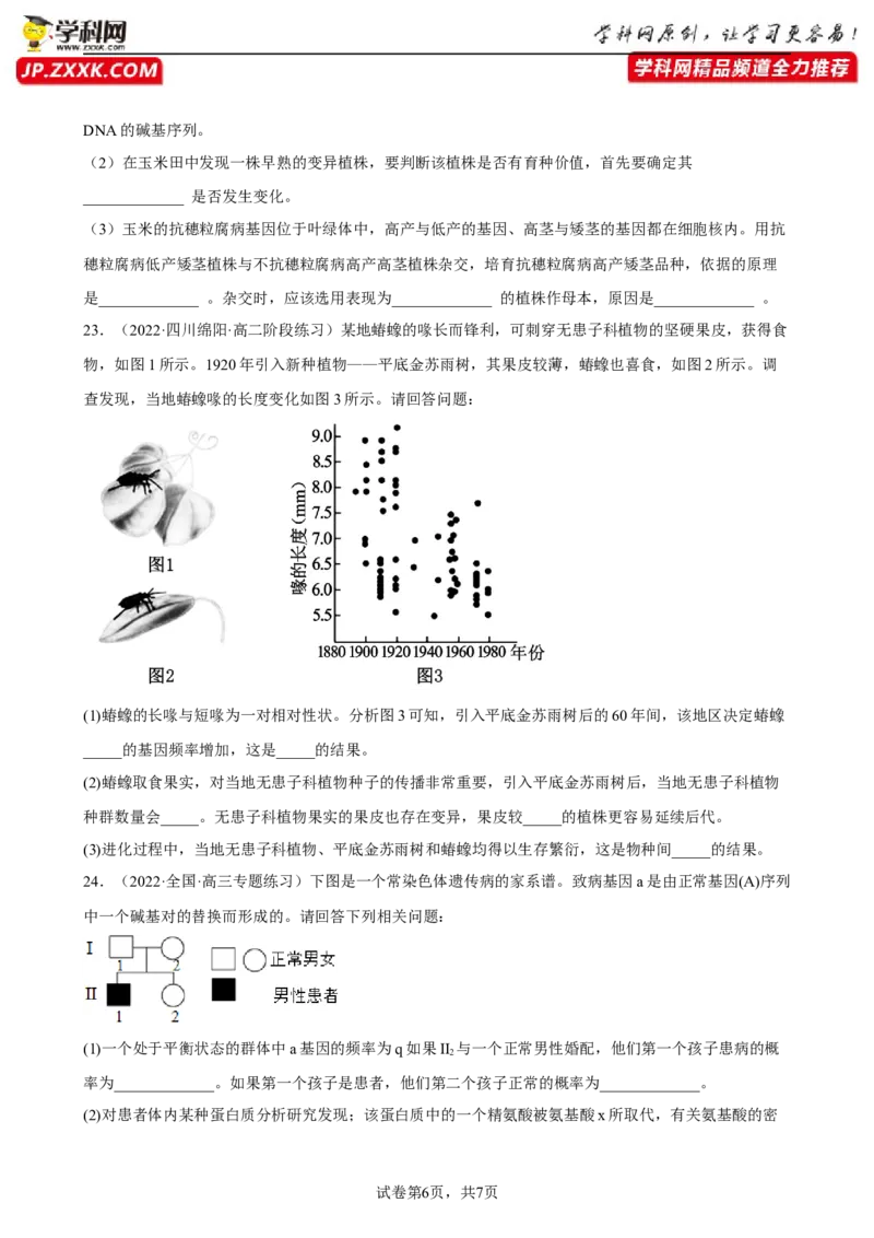 解密10生物的进化（分层训练)（原卷版）_新高考复习资料_2023年新高考复习资料_二轮复习_高频考点解密2023年高考生物二轮复习讲义+分层训练（全国通用）288808838