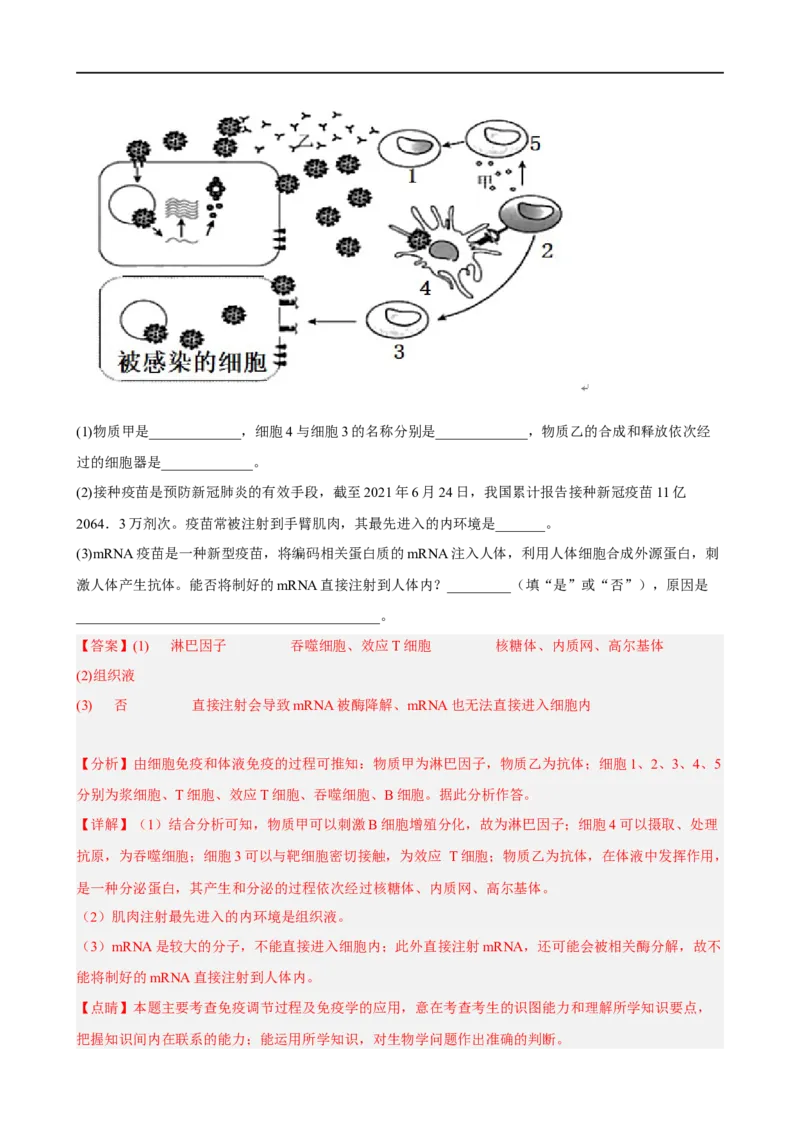 解密13免疫调节（分层训练)（解析版）_通用版（老高考）复习资料_2023年复习资料_二轮复习_高频考点解密2023年高考生物二轮复习讲义+分层训练（全国通用）