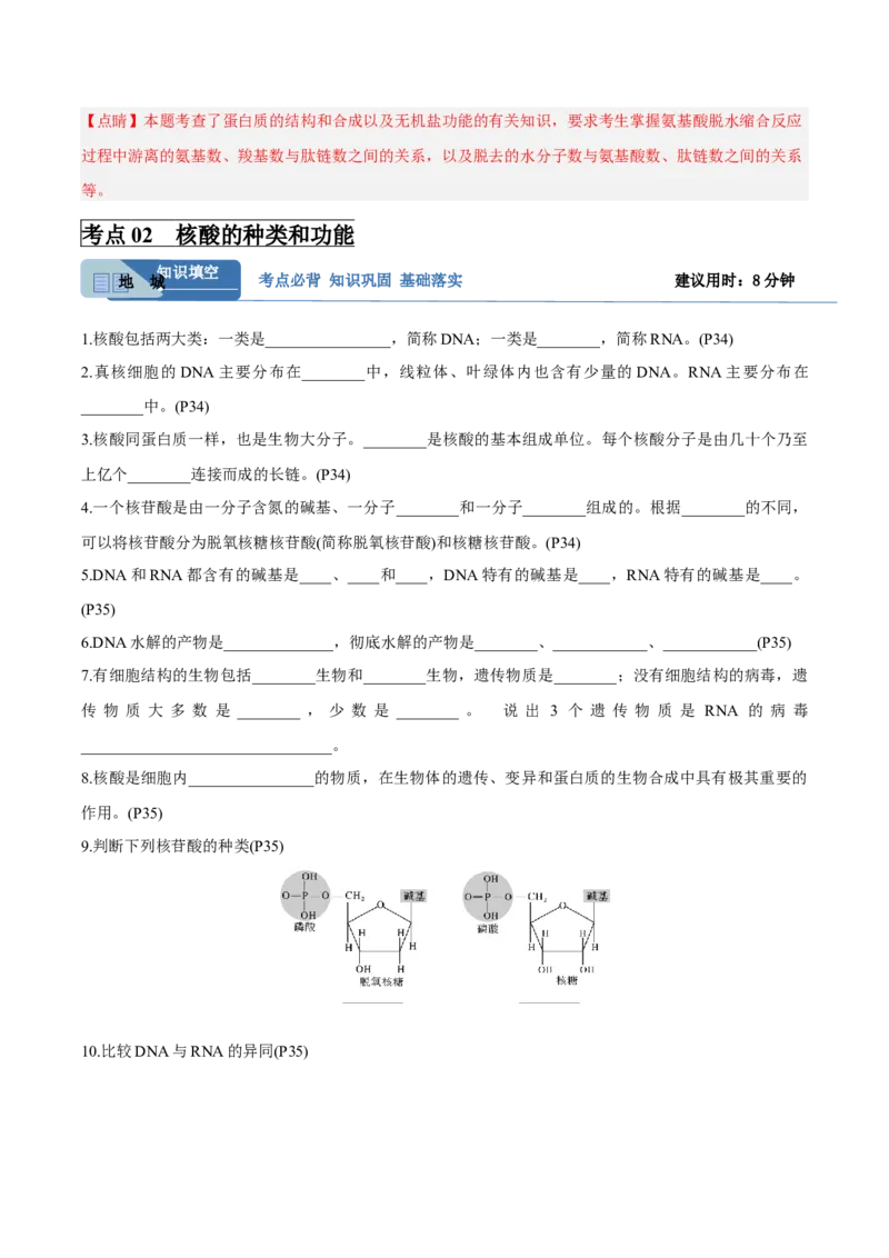 考点通关卷04蛋白质和核酸（解析版）_新高考复习资料_2025年新高考资料_2025年高考生物一轮复习考点通关卷（新高考通用）