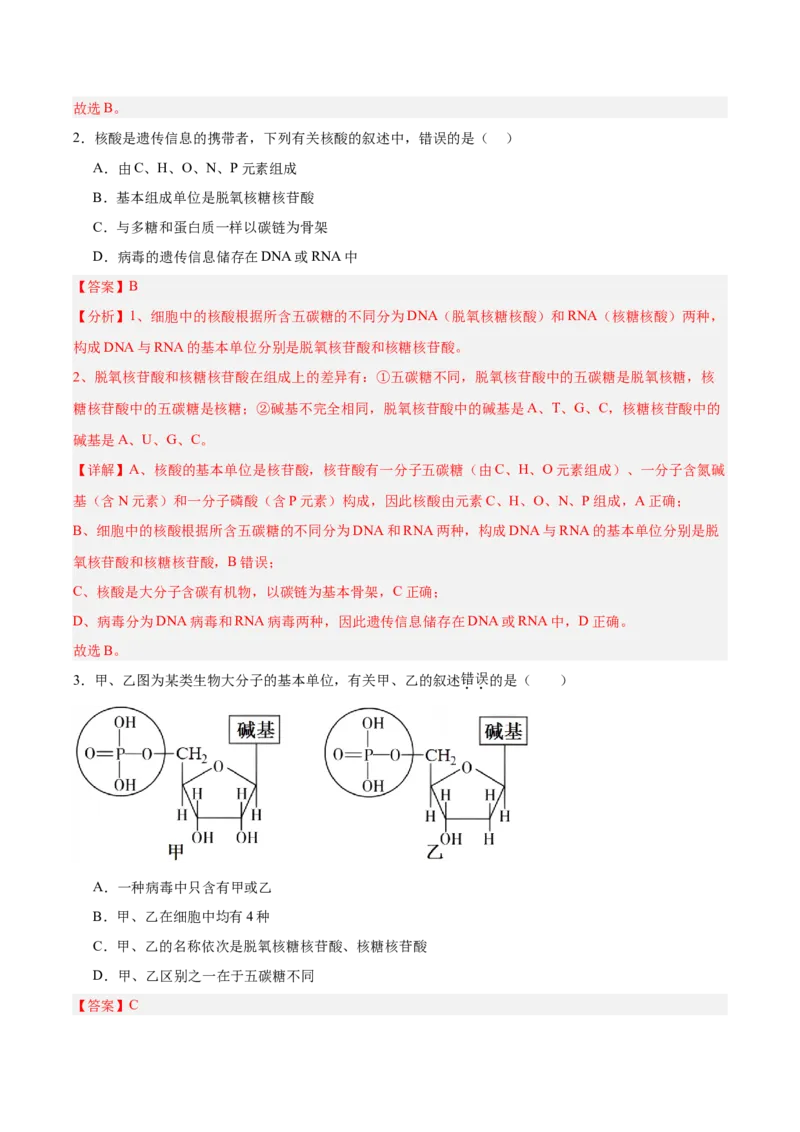 考点通关卷04蛋白质和核酸（解析版）_新高考复习资料_2025年新高考资料_2025年高考生物一轮复习考点通关卷（新高考通用）