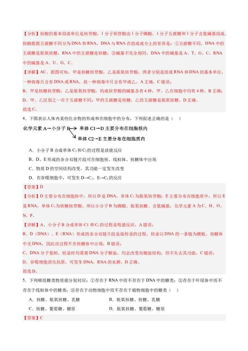 考点通关卷04蛋白质和核酸（解析版）_新高考复习资料_2025年新高考资料_2025年高考生物一轮复习考点通关卷（新高考通用）