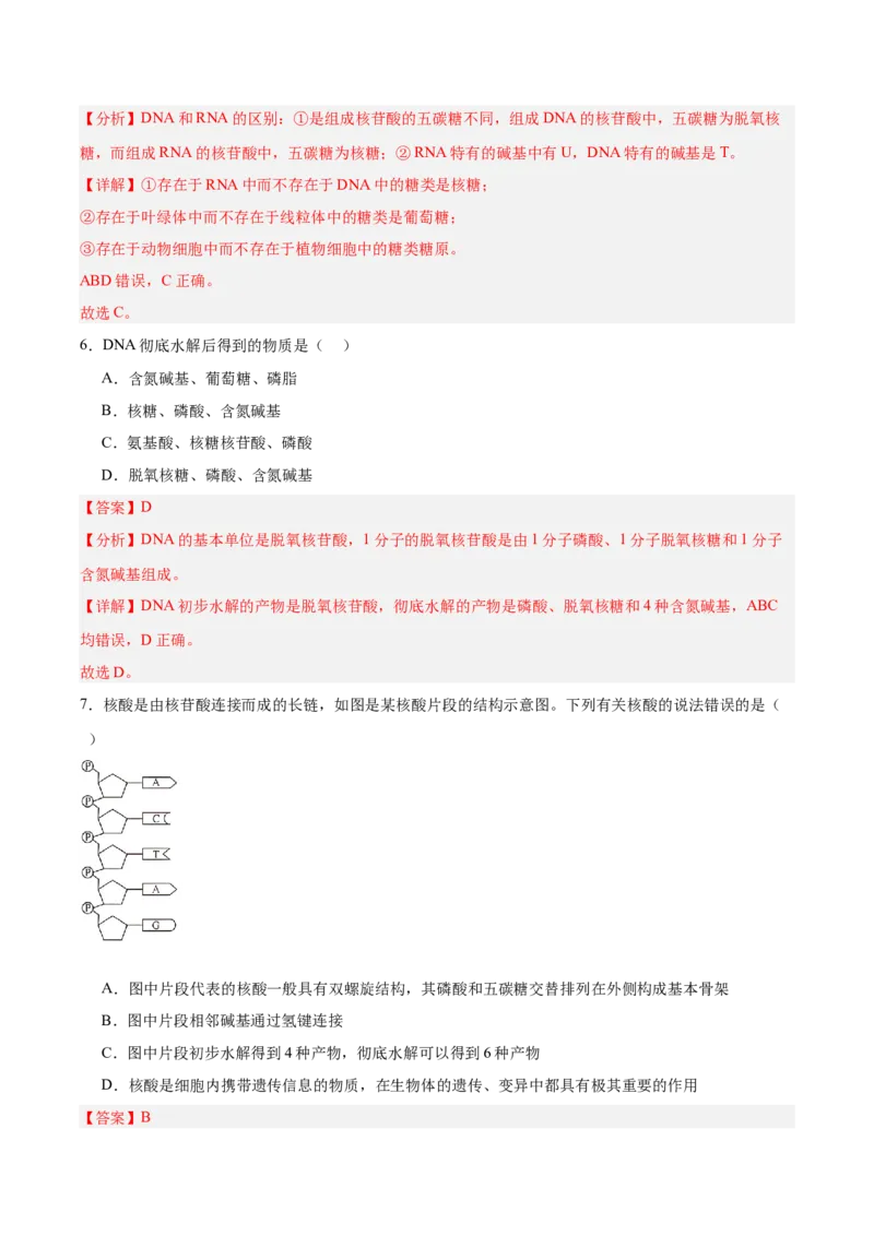 考点通关卷04蛋白质和核酸（解析版）_新高考复习资料_2025年新高考资料_2025年高考生物一轮复习考点通关卷（新高考通用）