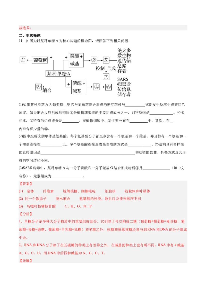 考点通关卷04蛋白质和核酸（解析版）_新高考复习资料_2025年新高考资料_2025年高考生物一轮复习考点通关卷（新高考通用）