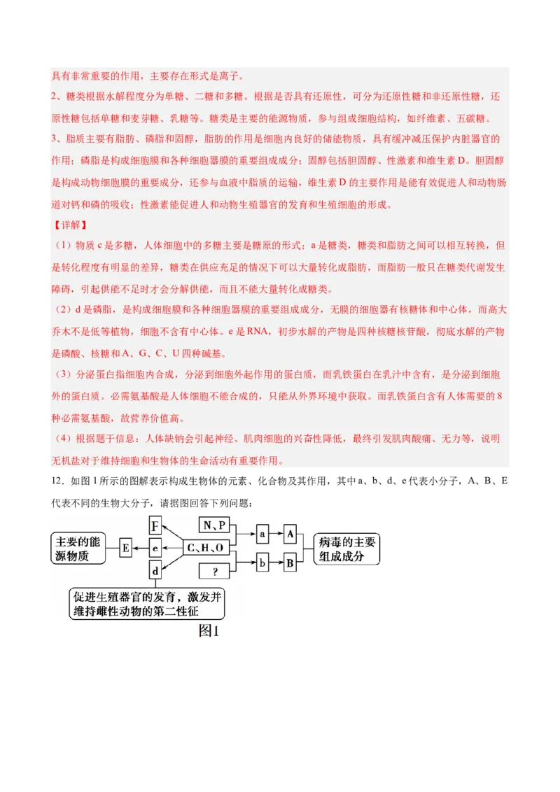考点通关卷04蛋白质和核酸（解析版）_新高考复习资料_2025年新高考资料_2025年高考生物一轮复习考点通关卷（新高考通用）