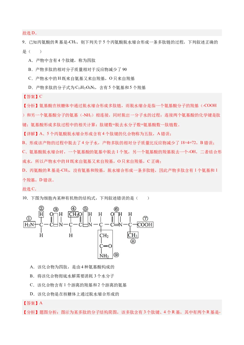 考点通关卷04蛋白质和核酸（解析版）_新高考复习资料_2025年新高考资料_2025年高考生物一轮复习考点通关卷（新高考通用）