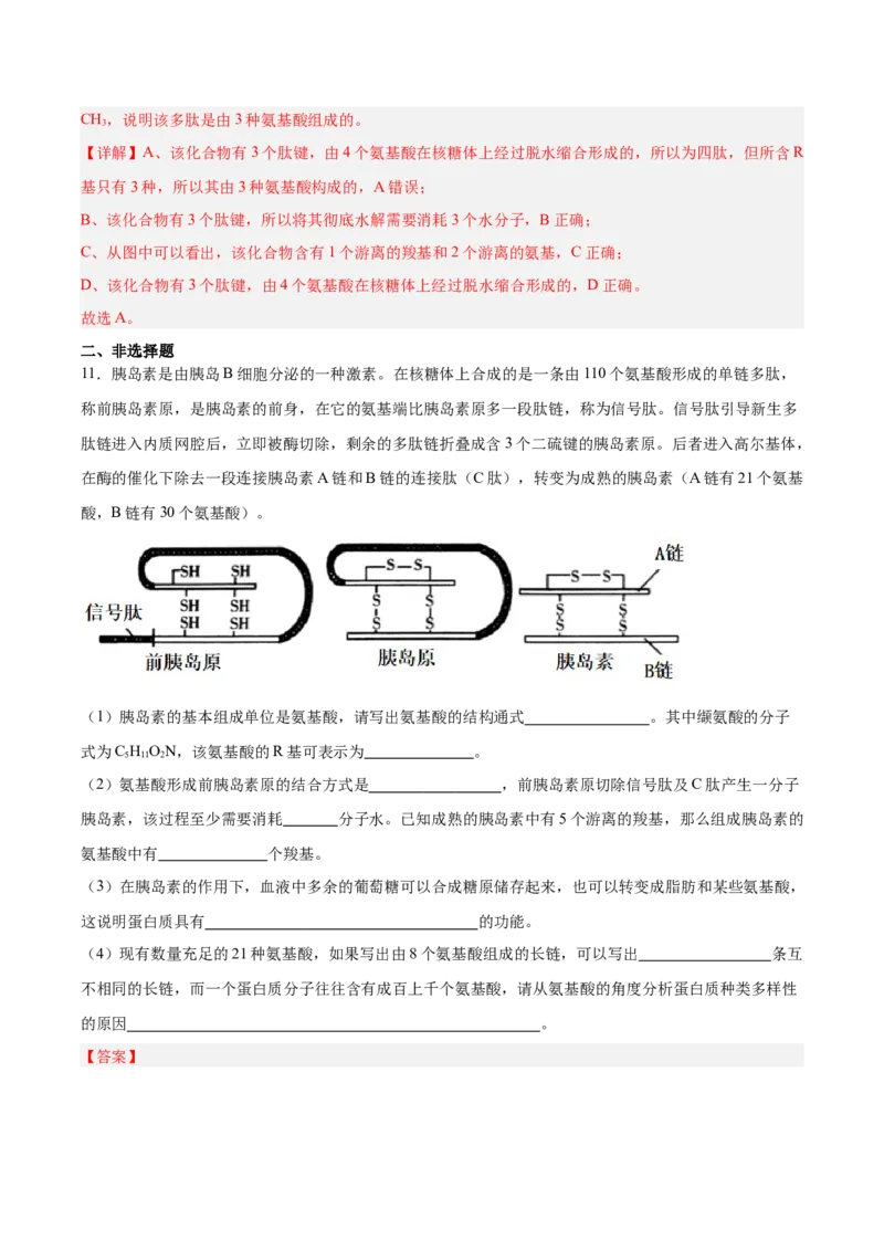 考点通关卷04蛋白质和核酸（解析版）_新高考复习资料_2025年新高考资料_2025年高考生物一轮复习考点通关卷（新高考通用）